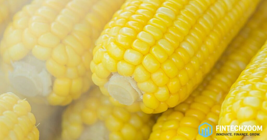 FintechZoom.com Corn