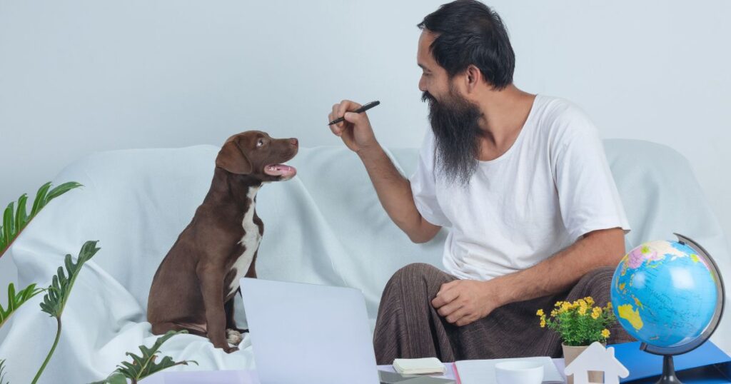 Beagle Financial Services