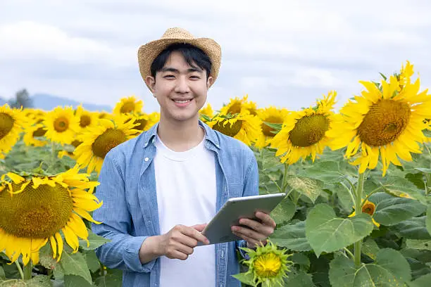 crop planning software